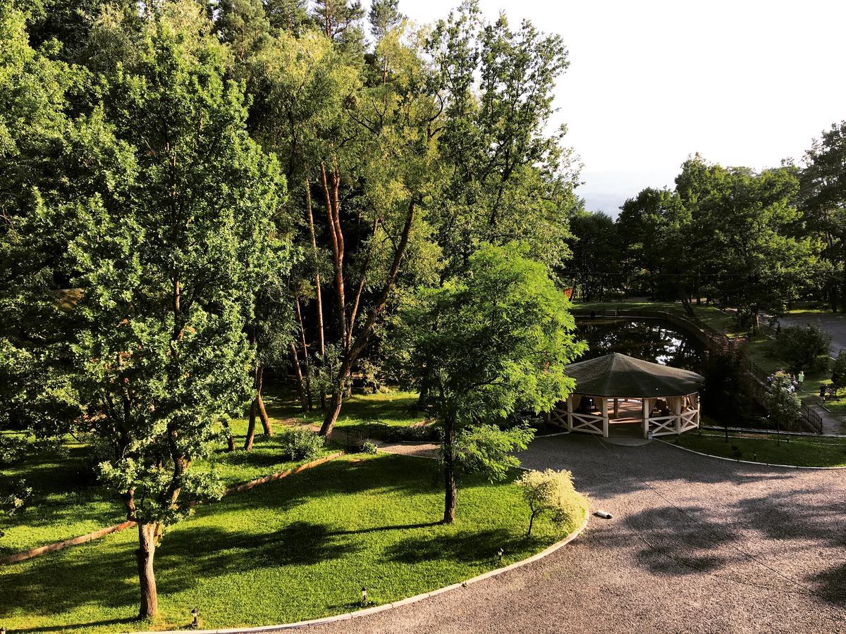 Solotvyno Resort Kültér fotó